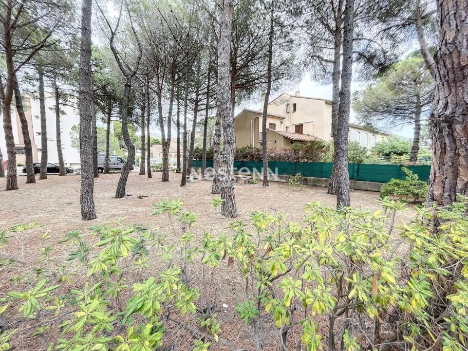 2980-Appartement 1 Ch A 100M De La Mer Argelès-sur-Mer Exterior foto
